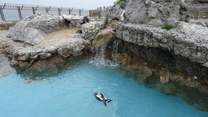 Santander is a very beautiful city in Cantabria, Spain