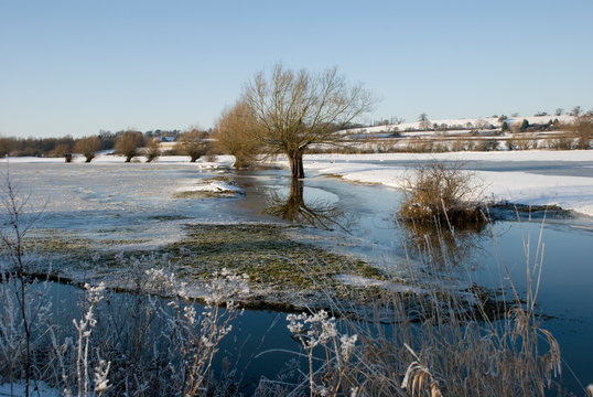 Winter landscape at Coombe Hill Nature Reserve in the UK