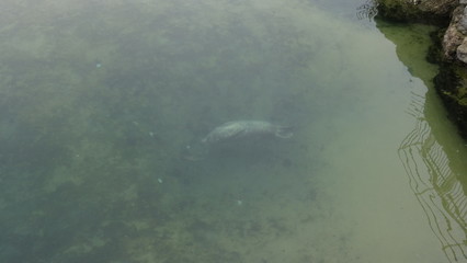 Santander is a very beautiful city in Cantabria, Spain