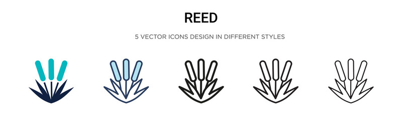 Obraz premium Reed icon in filled, thin line, outline and stroke style. Vector illustration of two colored and black reed vector icons designs can be used for mobile, ui, web
