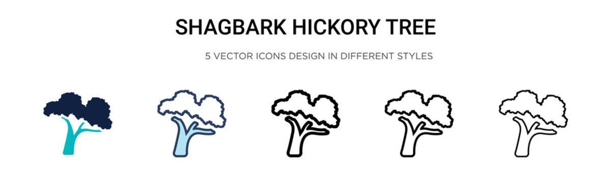 Shagbark hickory tree icon in filled, thin line, outline and stroke style. Vector illustration of two colored and black shagbark hickory tree vector icons designs can be used for mobile, ui, web