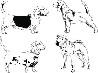 vector drawings sketches pedigree dogs in the racks drawn in ink by hand , objects with no background