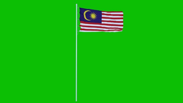 Malaysia Flag Waving on wind on green screen or chroma key background. 3d rendering