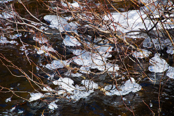 Eau partiellement glacée au printemps en forêt canadienne au Québec