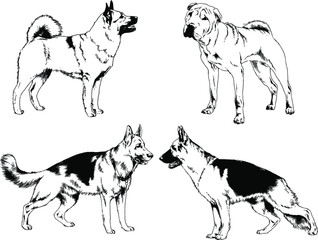 vector drawings sketches pedigree dogs in the racks drawn in ink by hand , objects with no background