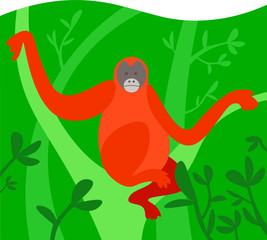 Illustration of an orangutan. Green background, leaves, trees. An orangutan sits on a tree among the leaves.