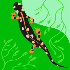 Salamander sits on a leaf. Green background. Plants on the background.