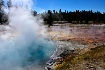 Celestine Pool Yellowstone National Park