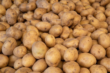 fresh potatoes on the market