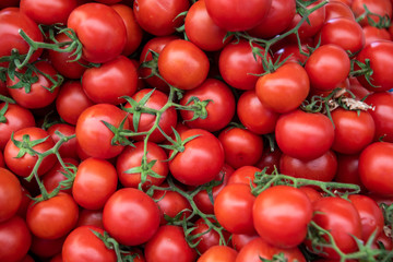 organic tomatoes in a market