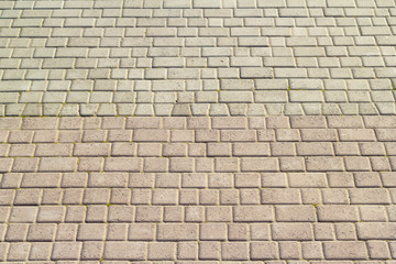 Symmetrical pattern of sidewalk tile with green moss .Grey pavement stone texture