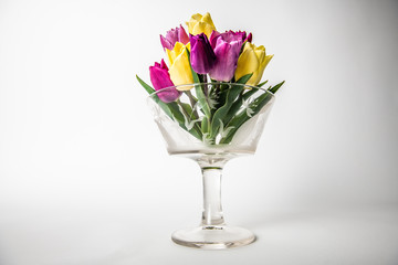 tulips in an antique bowl