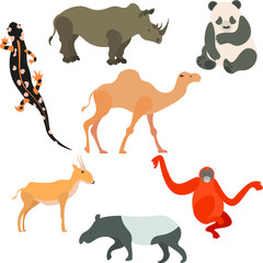 Vector animals set. Various animals of Asia. Rhinoceros, Salamander, orangutan, camel, Panda, saiga, tapir.