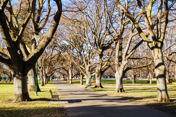 Carlton Gardens in Melbourne Australia