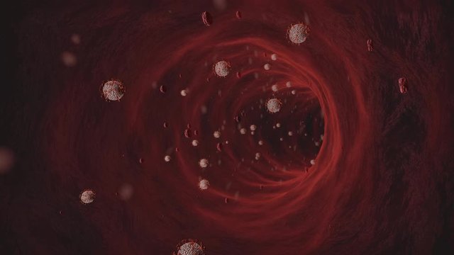 coronavirus covid 19 running through blood into veins cgi animation,virus flows inside vein
