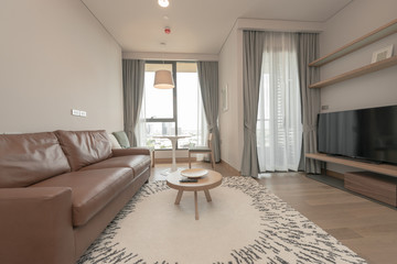 Modern living room and kitchen in small apartment