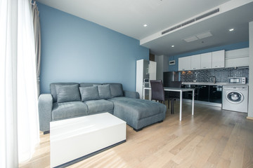 Modern living room design with sofa