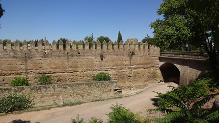 Fototapeta premium Cordova is a beautiful city in Andalusia, Spain