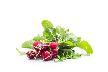 red radish with foliage on a white background