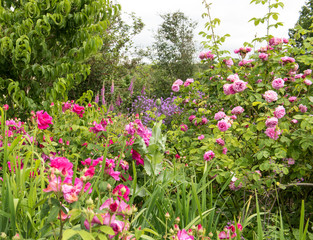Gartenparadies mit Rosen