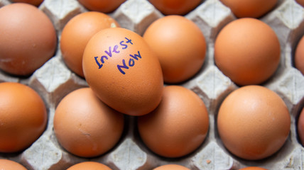 Early investment concept. Egg with text invest now.