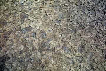 The ground has cracks in the top view for the background or graphic design with the concept of drought and death.