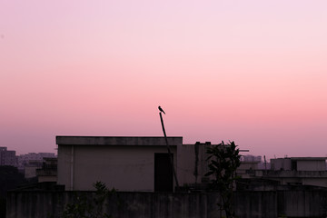 Fototapeta premium sunset