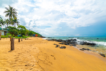 Khlong hin beach at Ko Lanta island, Thailand. Beautiful beach with purple blossom growing on the sand. Flower in bloom near turquoise sea. Concept of tropical vacation near jungle, beach relaxation