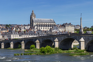 Saint Louis Cathedral and the bridge of Blois in Loire valley (France)
