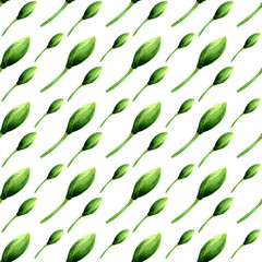 seamless pattern of green unblown lotus buds on a white background.