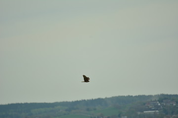 In Zschopau Erzgebirge
