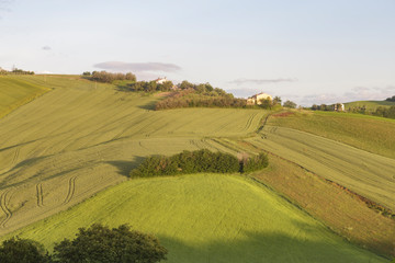 Fototapeta na wymiar The rolling landscape of Le Marche in Italy.