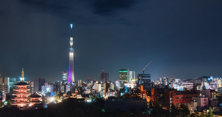 Fototapeta na wymiar Tokyo, Japan - November 13, 2019: Sensoji Temple gate and Skytree Tower in Tokyo, Japan.