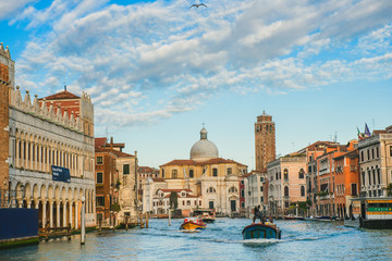 Grand canal with boats, Venezia, Italy. Bird in the sky over the Grand canal.