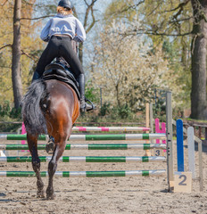 Amateur Springreiten als Leistungssport mit Hindernis