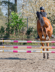Amateur Springreiten als Leistungssport mit Hindernis
