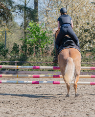 Amateur Springreiten als Leistungssport mit Hindernis