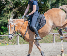 Amateur Springreiten als Leistungssport mit Hindernis