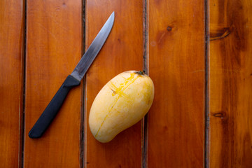Ripe mangoes are non-toxic.