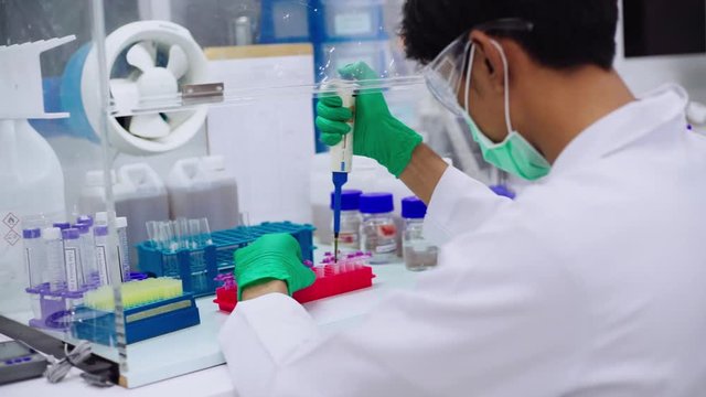 young scientist using pipette transfer sample to Micro Centrifuge Tube for PCR test in Biosafety cabinet.