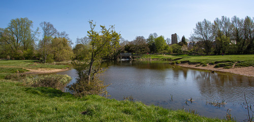 Fototapeta na wymiar The Pond on the water meadow