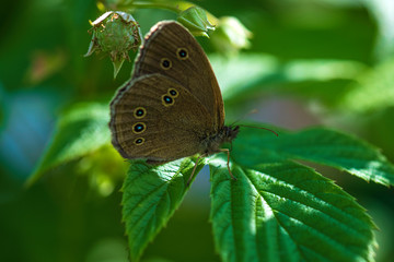 Obraz premium White medical masks with gauze, green antiseptic, with a plastic test jar with a red lid and an hourglass