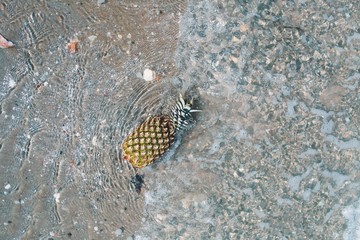 Top view pineapple on beach.