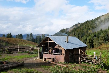 Fototapeta na wymiar Shepherd's hut in mountains on the route from the Mt. Megruki peak to Atskuri. Borjomi-Kharagauli National Park, Georgia. 