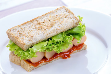 Sandwich on white plate