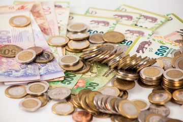 dinero en billetes con monedas