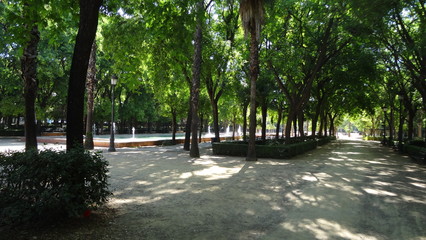 Seville is a stunning city in Andalusia, Spain