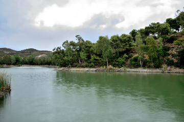Fototapeta na wymiar lago con bosque de pinos y cielo con nubes Marbella Andalucía España 