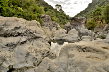 río con grandes piedras blancas y arboles verdes Marbella Andalucía España 