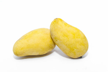 mangos on white background

